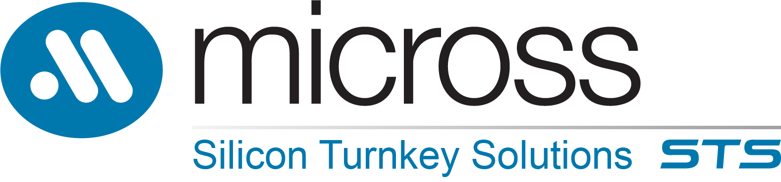 Micross Silicon Turnkey Solutions
